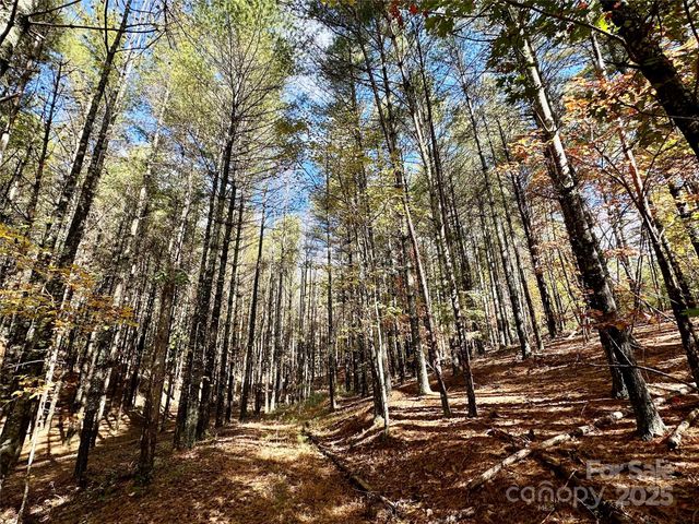 146 Bream Flats Drive 40, Nebo, NC 28761