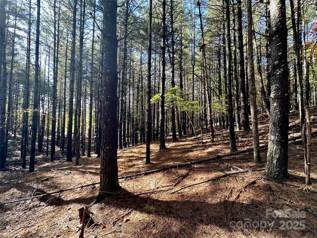 146 Bream Flats Drive 40, Nebo, NC 28761