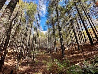 146 Bream Flats Drive 40, Nebo, NC 28761