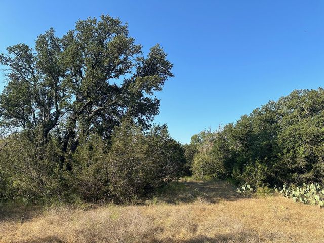 49 County Road 200, Burnet, TX 78611