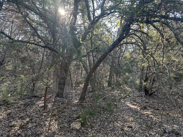 49 County Road 200, Burnet, TX 78611