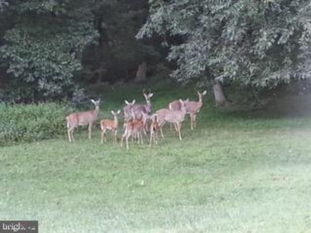 12404 WALLACE LN, Upper Marlboro, MD 20772