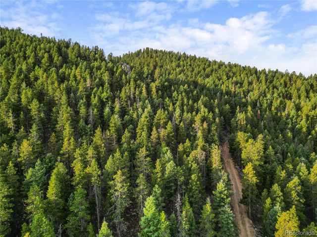 26273 Richmond Hill Road, Conifer, CO 80443