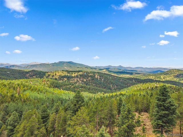 26273 Richmond Hill Road, Conifer, CO 80443