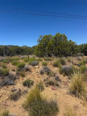 0 Upper Tule, Anza, CA 92539