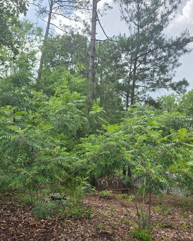 133 Troon Way, Aiken, SC 29803