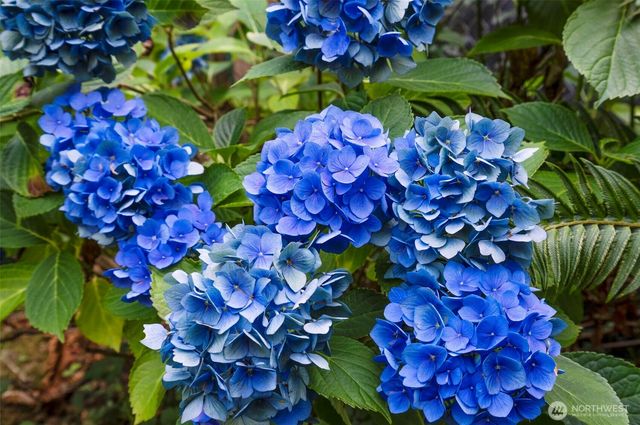 13509 SE 339th Ct, Auburn, WA 98092