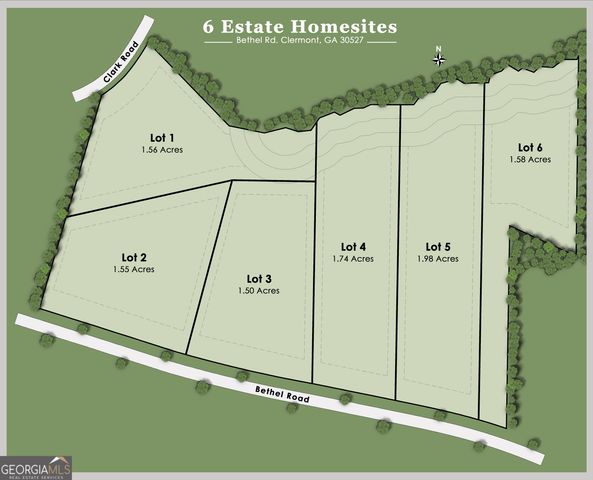 5750 Bethel Road, Clermont, GA 30527
