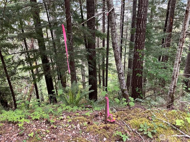 6 X N Colony Surf Drive, Lilliwaup, WA 98555