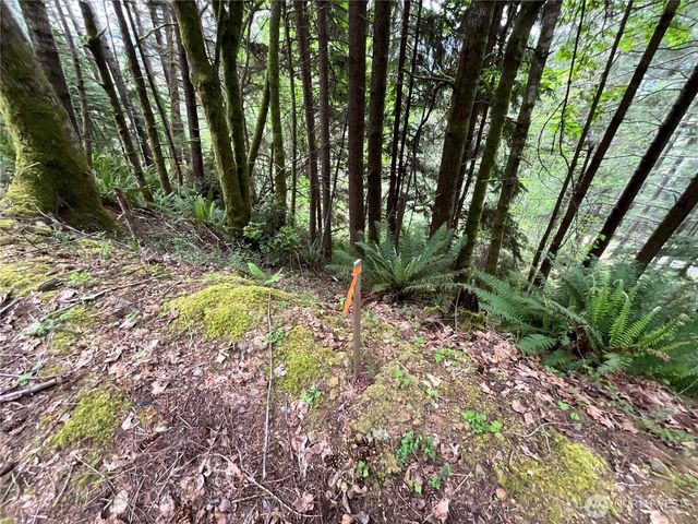 6 X N Colony Surf Drive, Lilliwaup, WA 98555