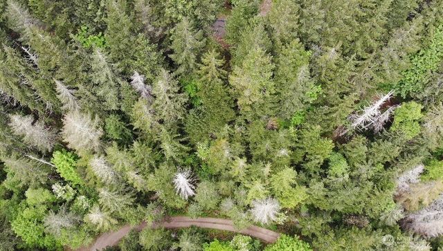 6 X N Colony Surf Drive, Lilliwaup, WA 98555