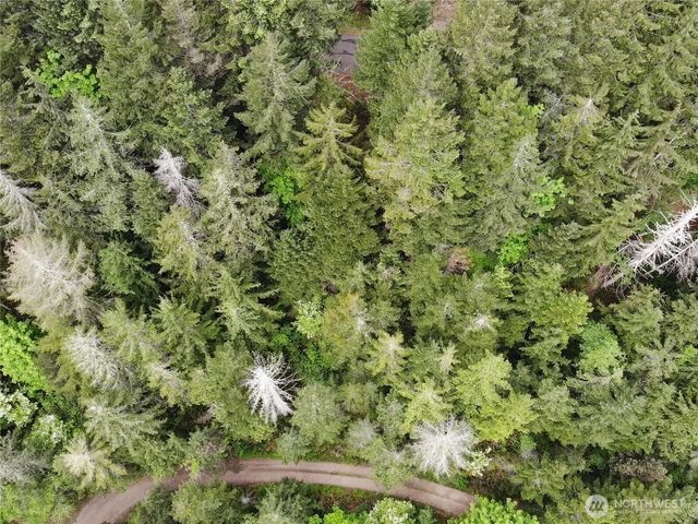 6 X N Colony Surf Drive, Lilliwaup, WA 98555