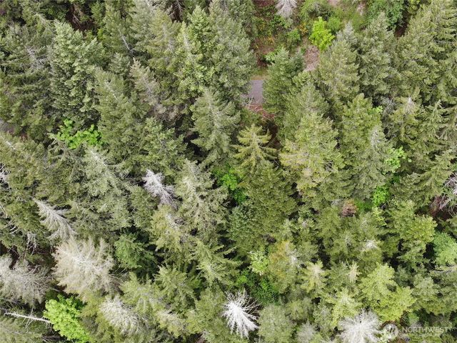 6 X N Colony Surf Drive, Lilliwaup, WA 98555