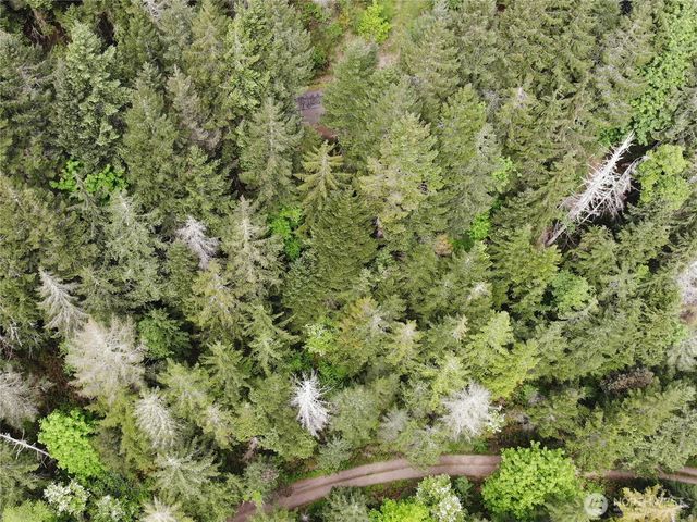 6 X N Colony Surf Drive, Lilliwaup, WA 98555
