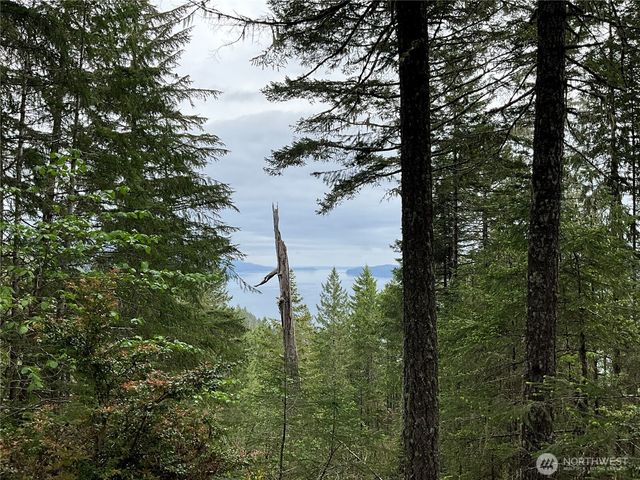 6 X N Colony Surf Drive, Lilliwaup, WA 98555