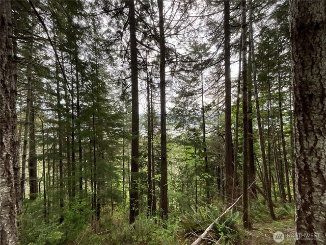 6 X N Colony Surf Drive, Lilliwaup, WA 98555