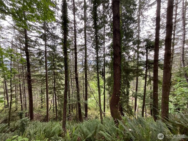 6 X N Colony Surf Drive, Lilliwaup, WA 98555