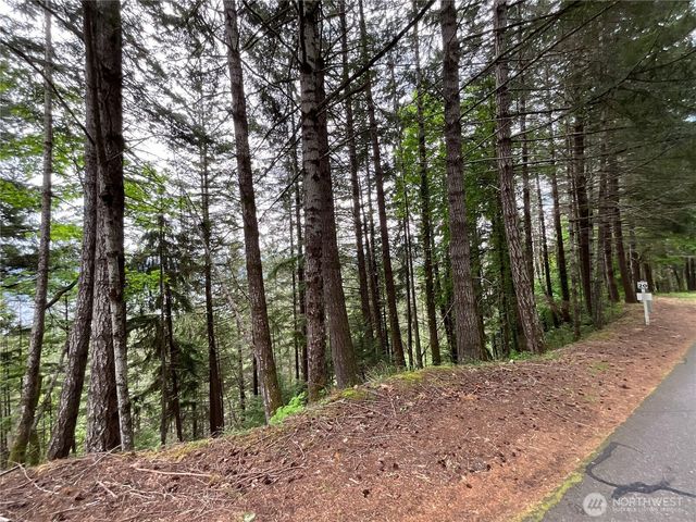 6 X N Colony Surf Drive, Lilliwaup, WA 98555