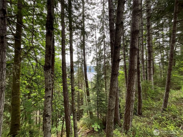 6 X N Colony Surf Drive, Lilliwaup, WA 98555