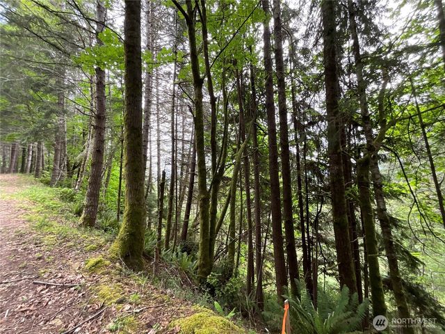 6 X N Colony Surf Drive, Lilliwaup, WA 98555