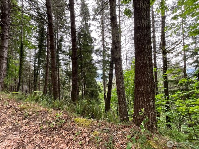 6 X N Colony Surf Drive, Lilliwaup, WA 98555