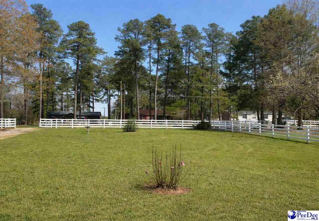 211 Rosenwald Rd, Society Hill, SC 29593