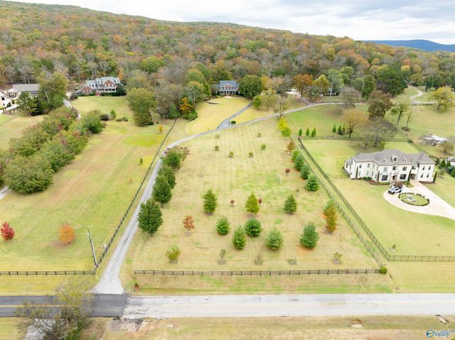 141 Brooks Circle, Brownsboro, AL 35741