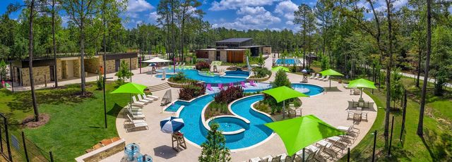 420 Flowering Lotus Court, Willis, TX 77318