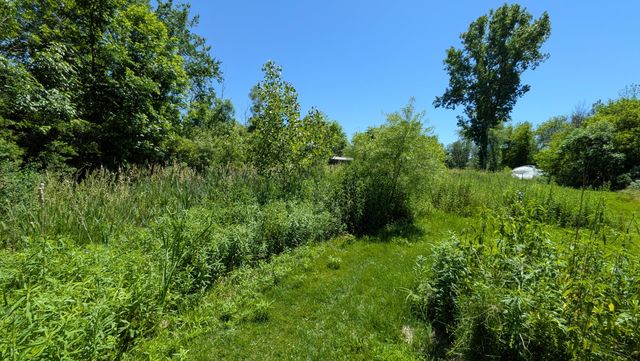 113th Avenue, Fennville, MI 49408