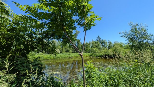 113th Avenue, Fennville, MI 49408