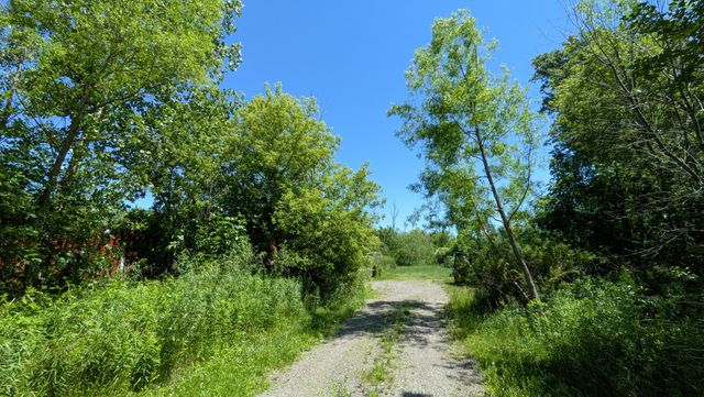 113th Avenue, Fennville, MI 49408