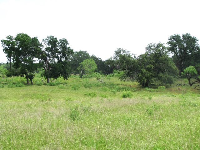 Lot 54 Buffalo Creek Drive, Evant, TX 76525