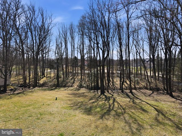 310 SPRINGVALE RD, Great Falls, VA 22066