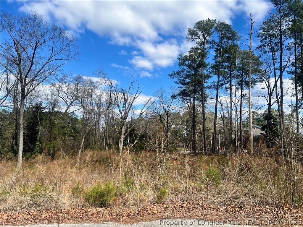 Lot 3 Polaris Court, Raeford, NC 28376 — photo 2
