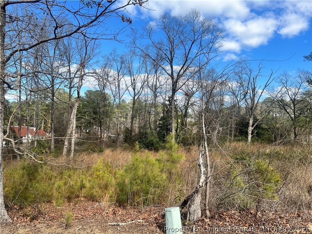 Lot 3 Polaris Court, Raeford, NC 28376 — photo 3