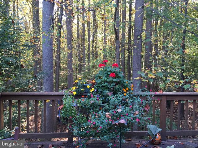 10895 BEECH CREEK DR, Columbia, MD 21044