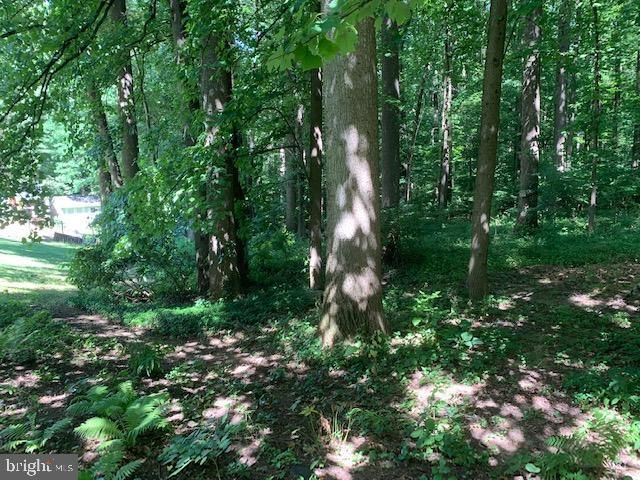 10895 BEECH CREEK DR, Columbia, MD 21044