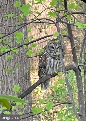 10895 BEECH CREEK DR, Columbia, MD 21044