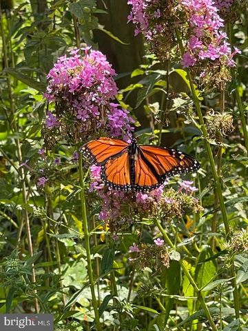 10895 BEECH CREEK DR, Columbia, MD 21044