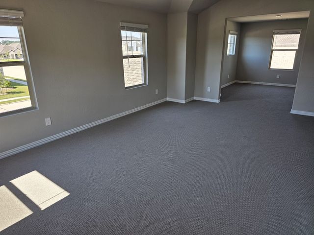 1301 Corkwood Drive, Melissa, TX 75454