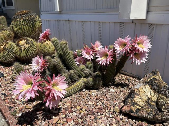 6 Wisteria 6, Ventura, CA 93004