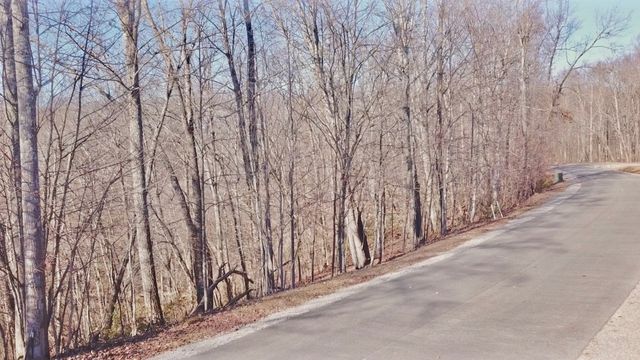 273 Tennis Center Drive, Smithville, TN 37166