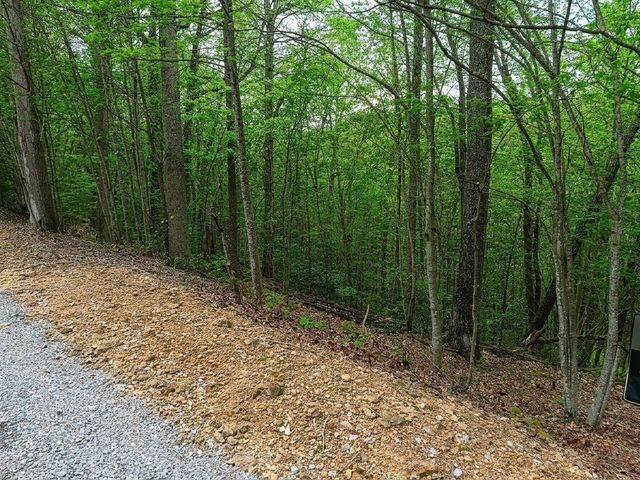 273 Tennis Center Drive, Smithville, TN 37166