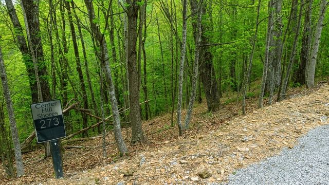 273 Tennis Center Drive, Smithville, TN 37166