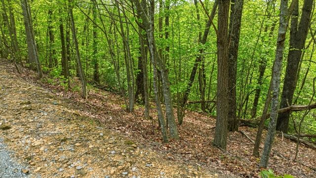 273 Tennis Center Drive, Smithville, TN 37166