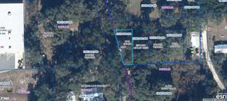 302 SE 65TH AVENUE, Hawthorne, FL 32640