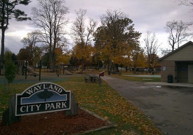 203 Vine Street, Wayland, MI 49348