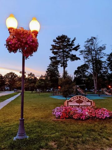 203 Vine Street, Wayland, MI 49348