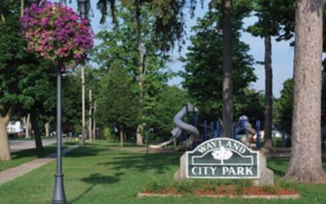 203 Vine Street, Wayland, MI 49348