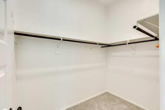 10115 Stride Court, Rosharon, TX 77583